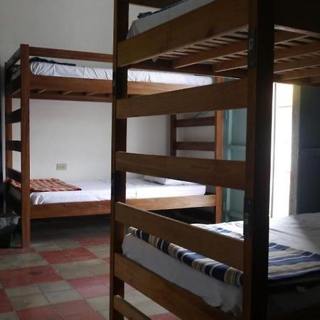 Luna International Hostel เอสเตลิ ภายนอก รูปภาพ