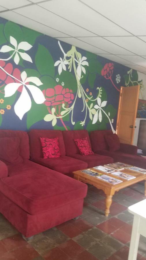 Luna International Hostel เอสเตลิ ภายนอก รูปภาพ
